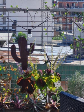 Colibrí apart